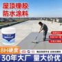 外墙屋顶补漏裂缝涂料