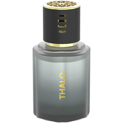 Car Perfume Aromatherapy – Offering a Premium Light Scent