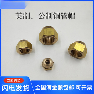 �~�{�ӿ��{�~��ĸ ���ȿ���ñ���{�U����ĸ�~���iĸ��ñ�������