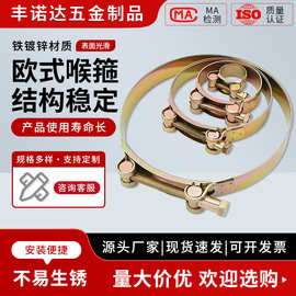 欧式喉箍厂家供应水管不锈钢固定卡子汽车重型紧固铁镀彩锌抱箍