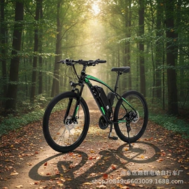 其他电动车;电动三轮车;电动代步车