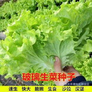 �ļ���ಣ�����˷N�Ӵ����������˷N���̨�ļ����Դ����߲˷N��