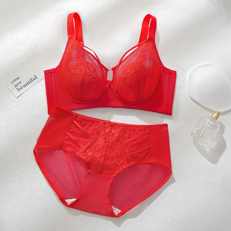 6616 Sujetador de encaje sexy con anillo de acero suave francés, orejas de conejo ligeras, pechos grandes, memoria pequeña, ropa interior ajustable de titanio