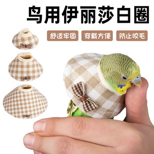 �Һ����羳���Lĵ���B������ɯ��Ȧ��ҧ��ë�܂����o�Ȧ�W�^����