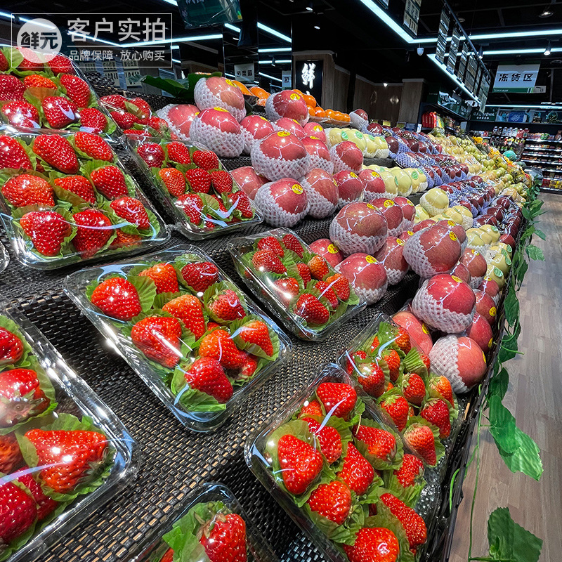 实拍-主图1 (2).jpg