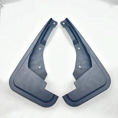 a generation, Mudguard