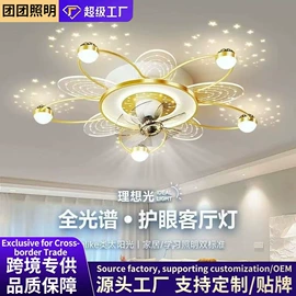 商用吊线灯;吸顶灯;风扇灯