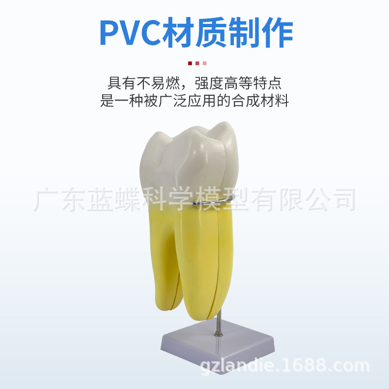 12���Ŵ���������ģ��������ʿɲ��ģ������������������ĥ��