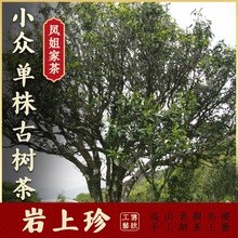 �P��Ҳ衾 ����Ř� �����䡿С���Ϙ�� �����Θ��P�ˆ΅�����