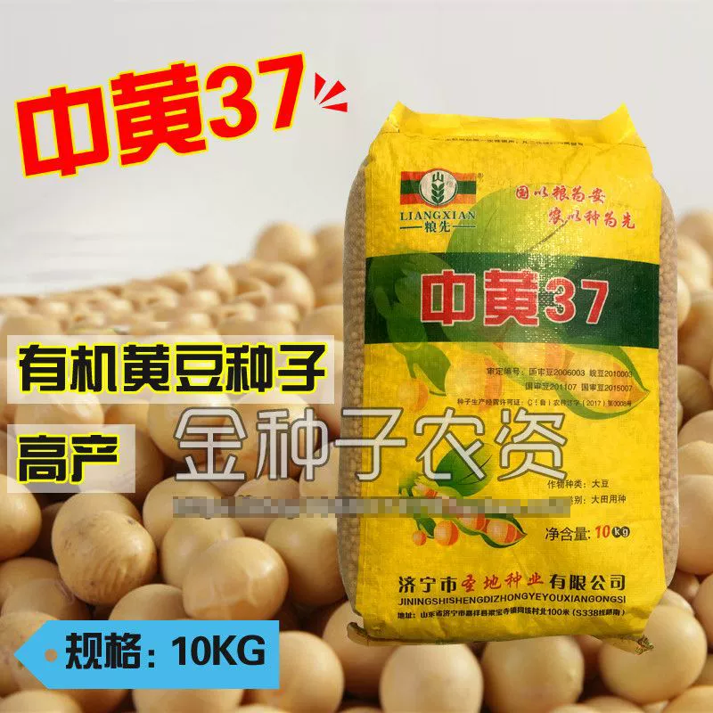 Фермеры сажают семена сои на большой площади