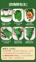 新鲜大粽叶箬叶非竹叶端午节包粽子材料真空包装