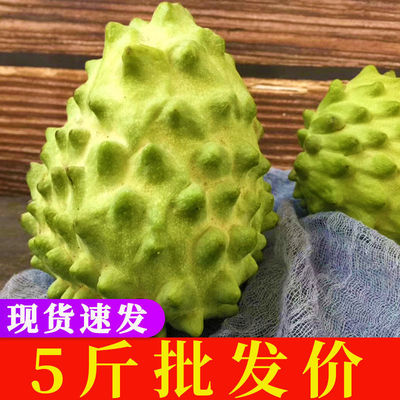 Custard apple fruit milk Pineapple fresh fruit Sweetsop milk Mani Buddha head Full container wholesale One piece On behalf of