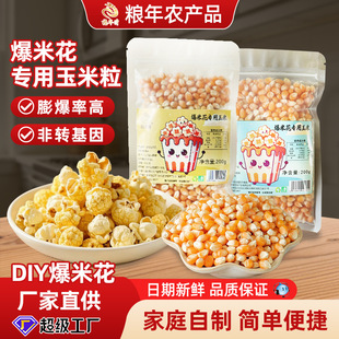 �Z��¡���׻��������������������S���׼�ͥ����DIY��ʳԭ��