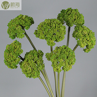 ܛ�z�����m������������ϻ����l����Ҿ��bzӰ�������m���{��