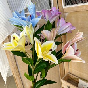 ��֧���^�ٺ� 3D��ӡ��ˮ�ٺ��ָб��W�p���L �Ҿ��b�c���滨