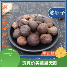 中药材 娑罗子 梭罗子 婆罗子 桫椤果 梭罗果 梭罗果片 500克