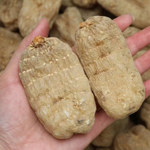 �����ͨС�݉�����10��20��30��40��50��60��һ���������؛���l