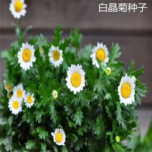 ɢb׾շNļN׷NͥԺԶrշNС׾ջ