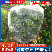 定制植物防虫网罩农用加厚蔬菜防虫网养殖围网跨境蔬菜果树防虫网