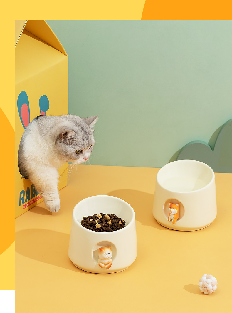 猫狗碗_01.jpg