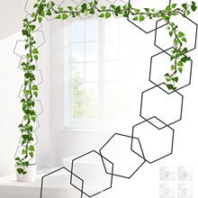 藤蔓植物爬藤架 室外和室内植物格子架 创意六角铁圈花架 攀爬架