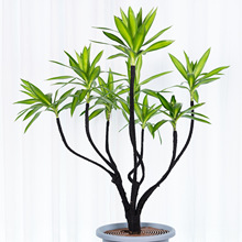 ?�@ˇ�辰�F����������ܛ�����z������ͻ������Զ���������