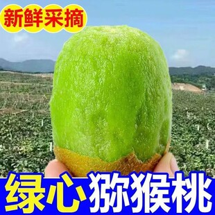 ���ھG�īJ�������rˮ���殐����Ƥ�����r��������̴��l�a��ֱ�l