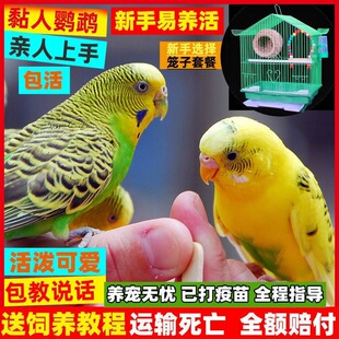 �W�^���B�����B�fԒ�B���B���^�p�B�W�^���B��ֳ�µ����B�B