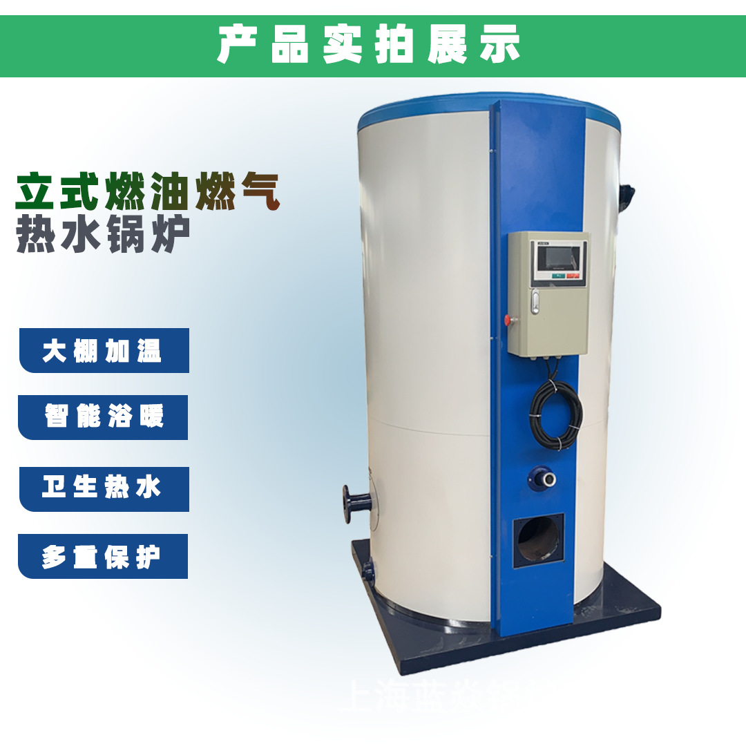小型热水锅炉 厂家直供 采暖洗浴一体 高效节能工业商用热水锅炉