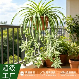 仿真绿植;仿真花;圣诞树