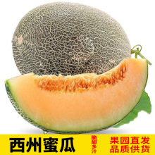 ���ں��Ϲ��۹�9������W�y�����r����ˮ�����r���l5�����۹����