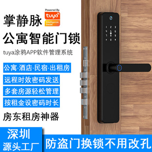 Tuya Graffiti Palm Vein Wifi Fingerprint Password Lock Hotel Apartment Daily Rental Card Lock Anti-Theft Door Lock