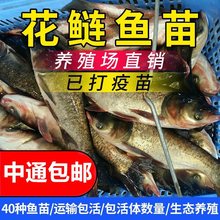 �����~������I���^���^�~�����~��ˮ����Ĵ���~�Bֳʳ�ð��]