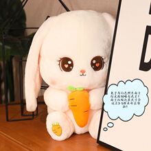 �����ɐ۾W�t�}������ë�q����L���ù������նY����Ů����ż����