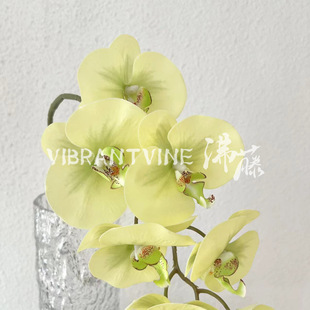 ��Ʒ�ָ�7�^�����m���滨�͏d�Ӱ巿�bٻ���Y�û�ˇ�[���廨
