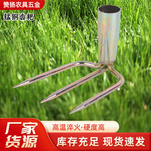 䓰Ҷ��X�������X���s�������ټt���������ݼ���ץ�h���ӷ���