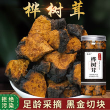 桦树茸黑金桦树茸黑精长白山野生桦树茸原块桦树茸桦褐孔菌