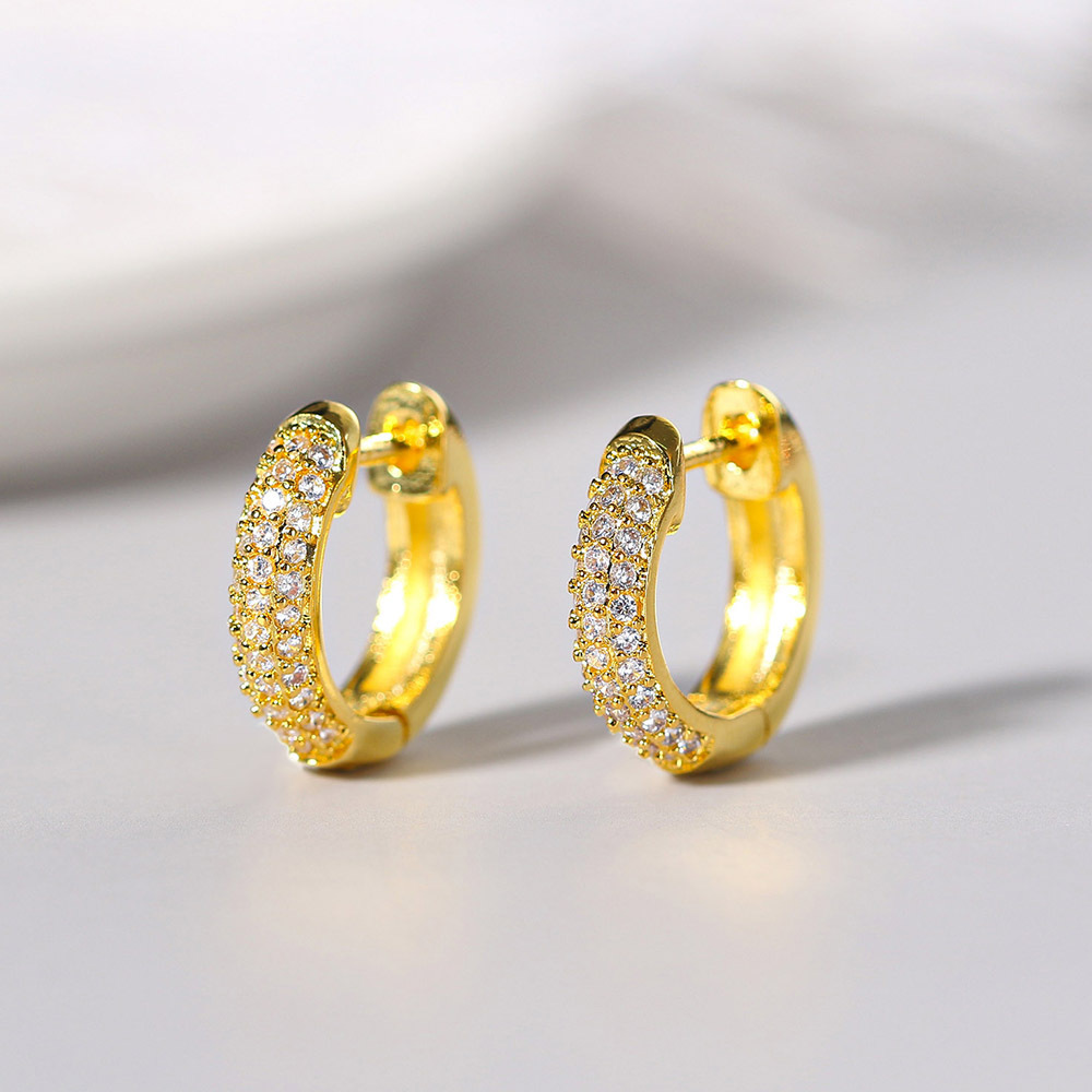 Fashion Circle Copper Plating Zircon Earrings 1 Pair display picture 2
