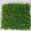 Garden courtyard landscape moss potted green plant surface plant wall moss moss engineering green landscaping big gray moss