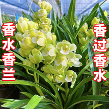 �m����ˮ���m�m����ȫ���_���҃ȿ͏d�������ԑ��˾Gֲ����