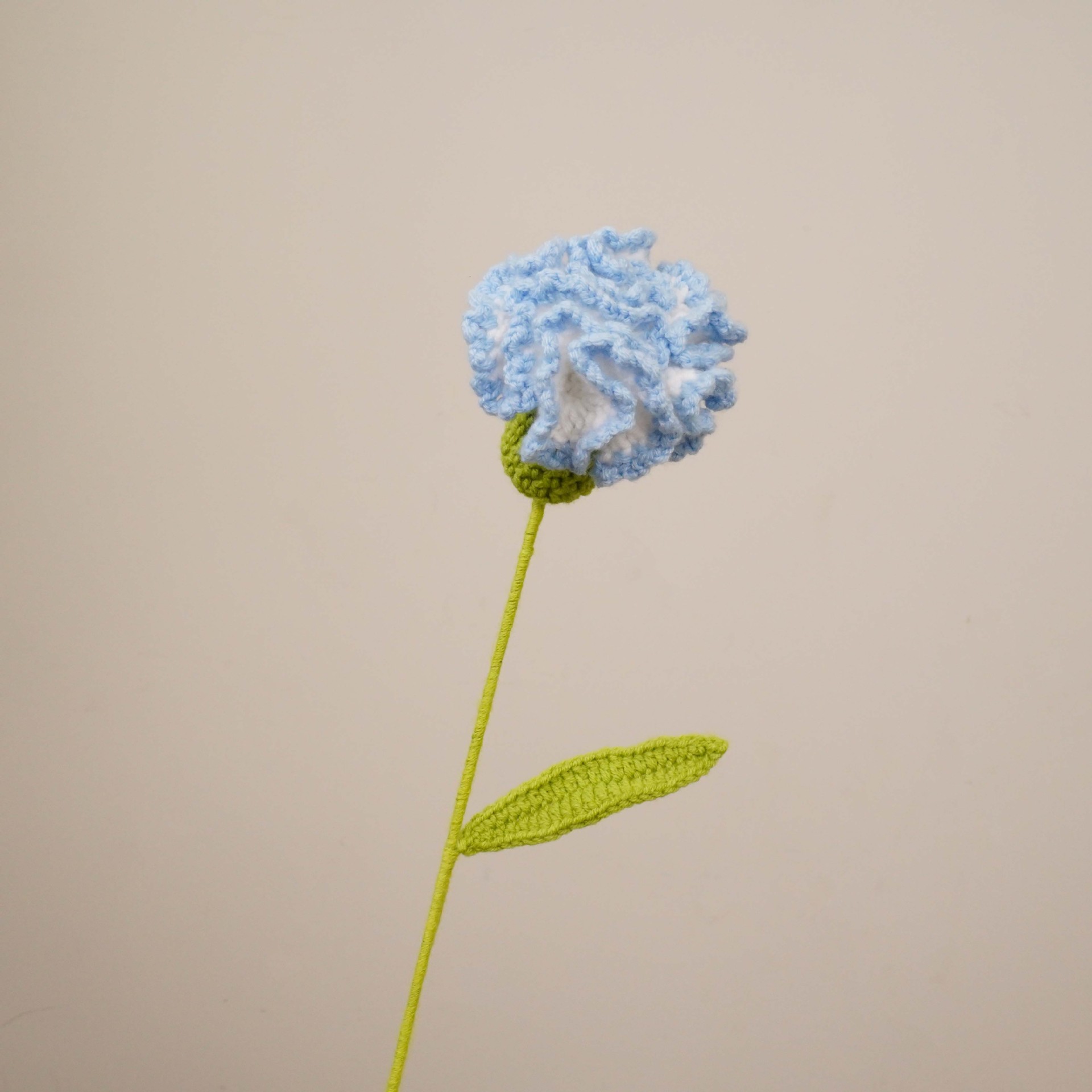 카네이션(그라데이션 블루)