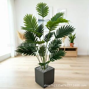 ����18�^ɢβ���Gֲ���ԾƵ�ҾӸ߼����b���ֲ��羳���u�F��