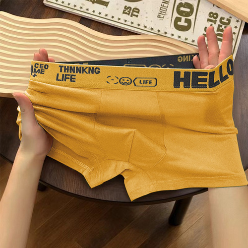 Men's Underpants Letter Loose Comfort Medium Waist Breathable Invisible Student Four Corner Shorts Wholesale