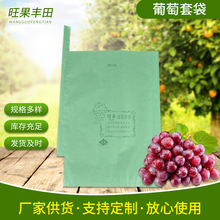 陽光玫葡萄套袋綠色36×28葡萄包裝紙裝袋 南方雨季用套袋可定制