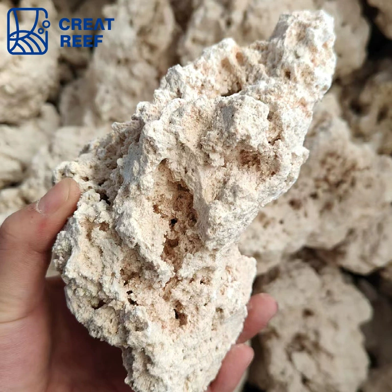 Japan Creat Reef Create Reef Human Java Island dry rock seas landscaping stone instead of living stone artificial mining