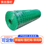 硬塑荷兰网养殖网拦鸡网农场果园圈地浸塑护栏包塑绿色铁丝网围栏