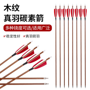 �F؛���l������֧����ľ�y̼�ؼ� ̼�ؼ��U�͹��OӋ4Ӣ���������