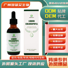 跨境现货tk亚马逊60ml液体叶绿素滴液Chlorophyll Drops支持定制