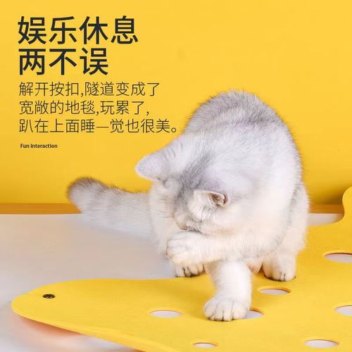 Cat Tunnel Cat Maze Folding Channel Felt Paper Drilled Hole Rolling Dragon Removable and Washable Cat Self-Happiness Toy for Four Seasons