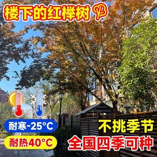 С�~�t�Θ���e��·߅ͥԺ�����ͺ������L���䅲���G���е�����